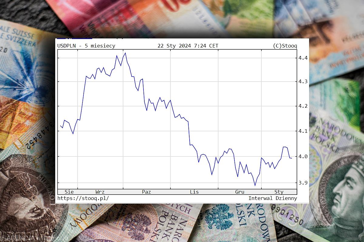 Co wpływa na kurs euro (EUR/PLN) w Polsce?