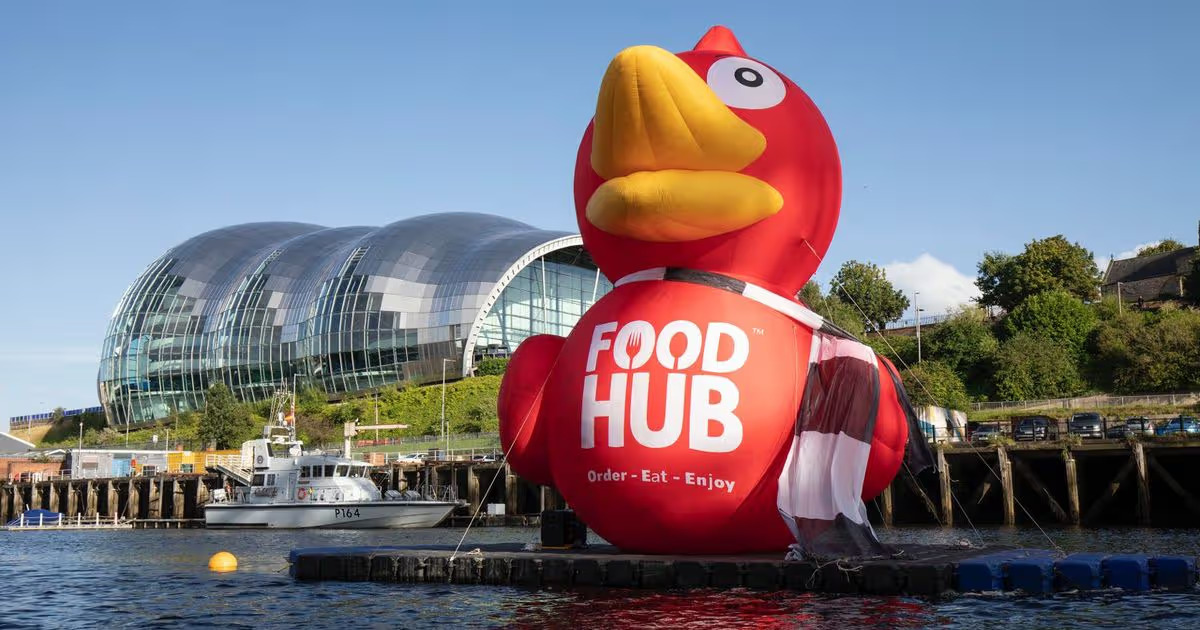 FoodHub SA